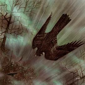 Slechtvalk groot